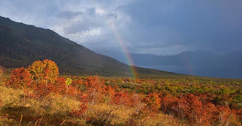 秋の訪れ 秋の訪れ