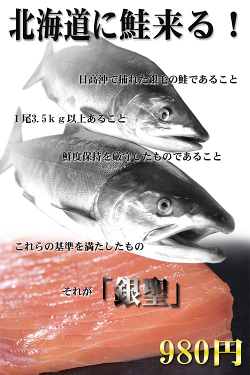 鮭ラミネート